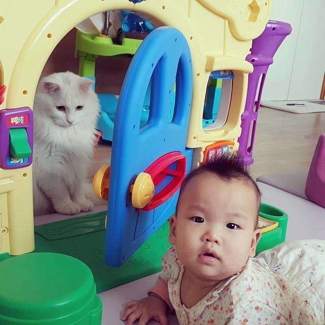 http://www.dose.com/lists/17950/28-Cats-And-Babies-Hanging-Out-And-It-s-The-Cutest-Thing-Ever