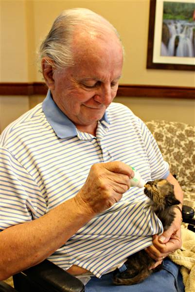 alzheimers-patients-nursing-_kittens-005-inline-today-161125_6ddcb16c198b3415537cbd458edd716d-today-inline-large