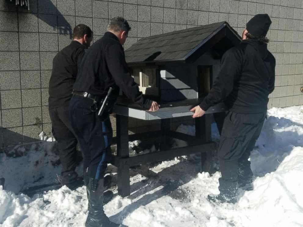 ht-catcondo-3-er-170218_4x3_992